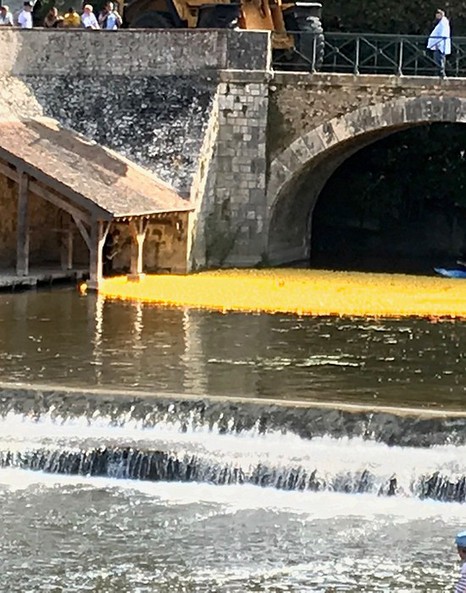 Duck Race Vendôme